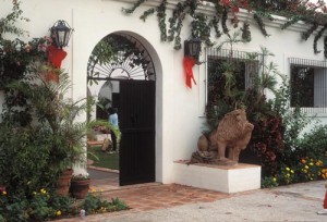 Stone lion guarding entrance, Alamos, Sonora, Mexico. Photo by Anders Tomlinson.