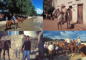Four horse scenes in Alamos, Sonora, Mexico. Photos by Anders Tomlinson.