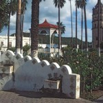 roses-mirador